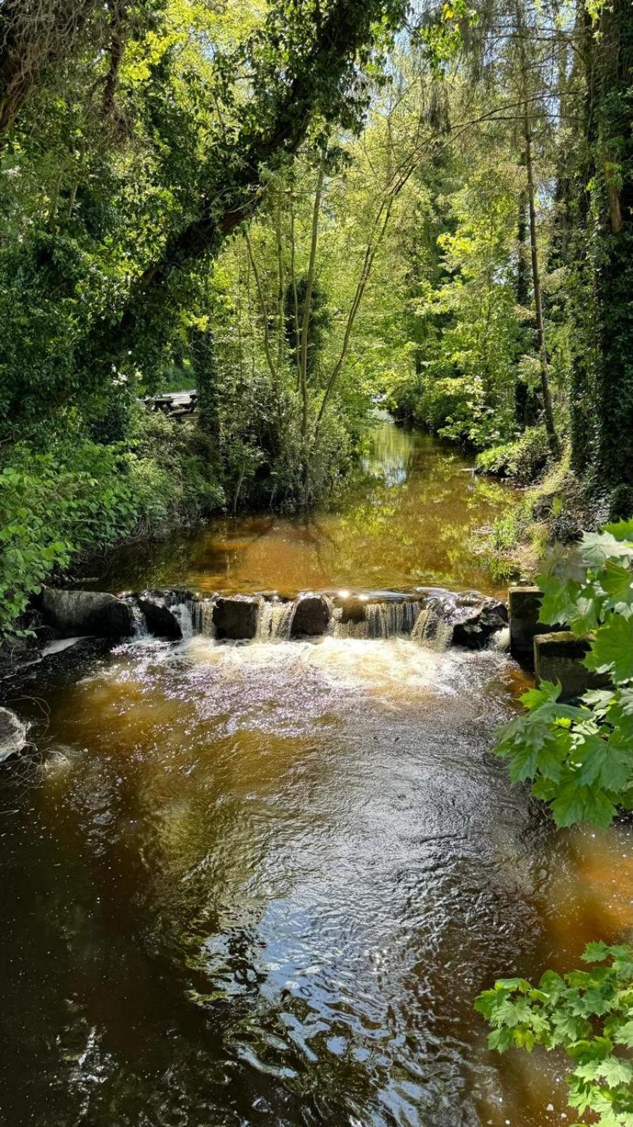 Basil Sheils B&B Accommodation Armagh Buitenkant foto